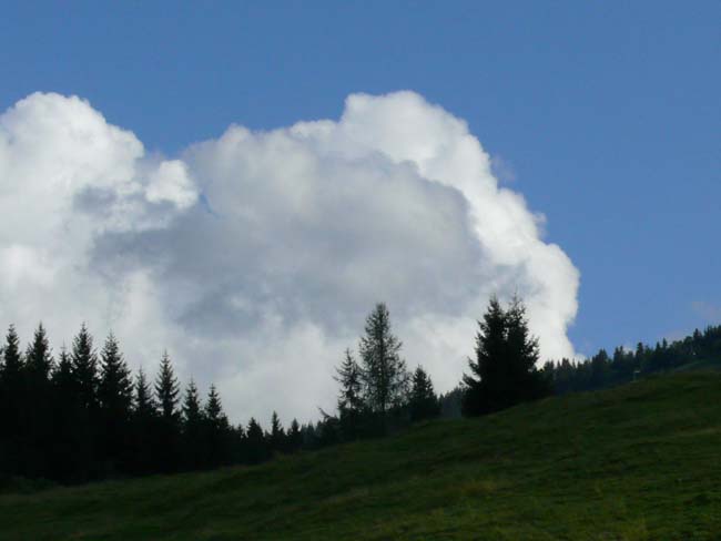 P1010493
